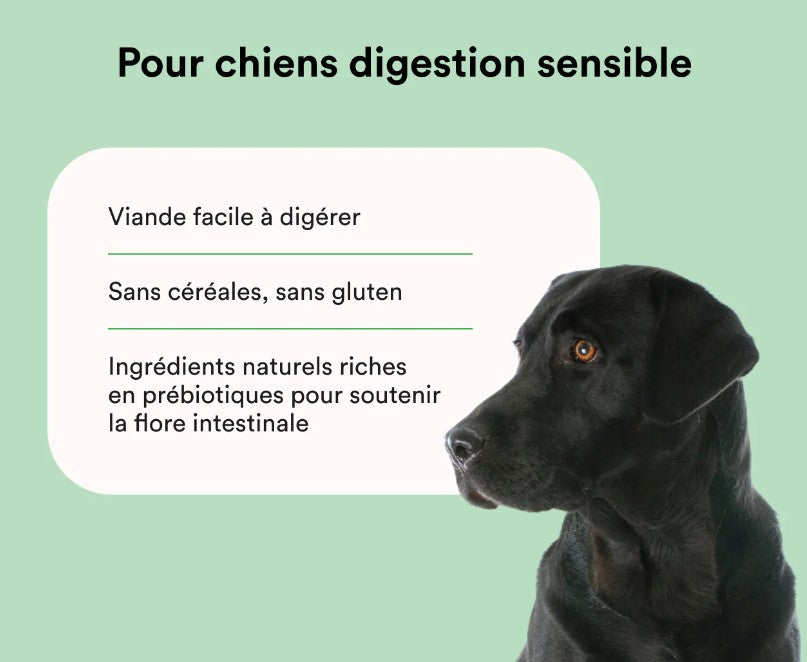 Croquettes Digestion Sensible