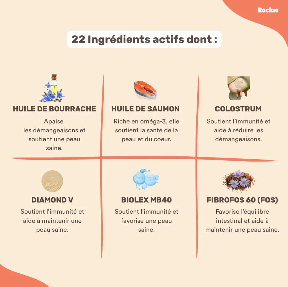 Fiche produit Rockie.
