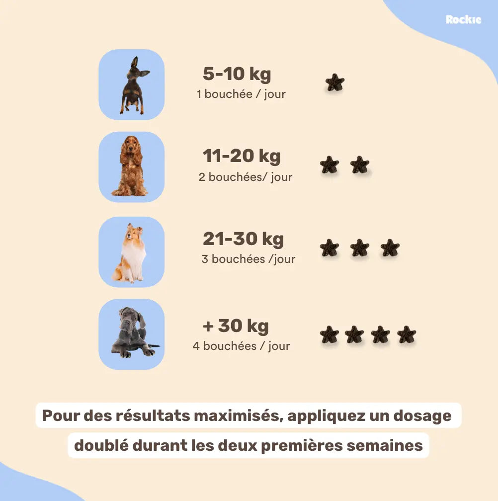 Fiche produit Rockie.