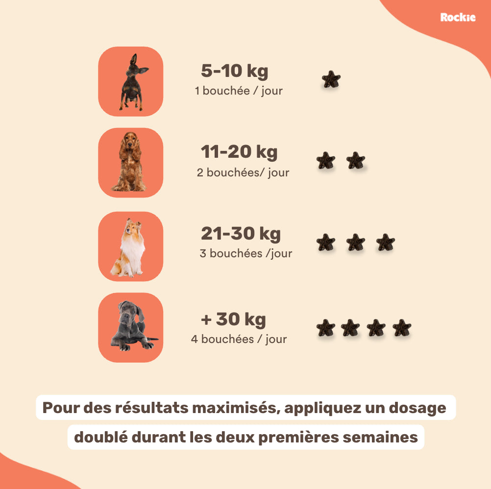 Fiche produit Rockie.