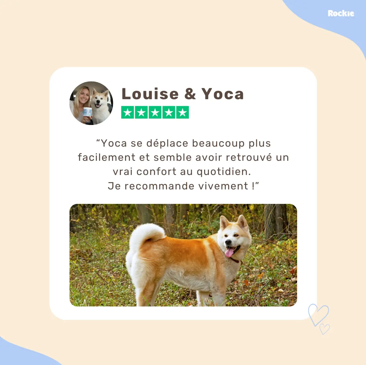Fiche produit Rockie.