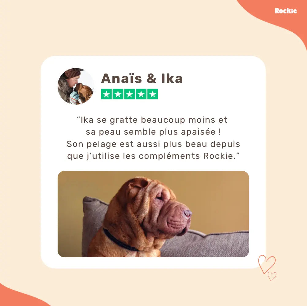Fiche produit Rockie.