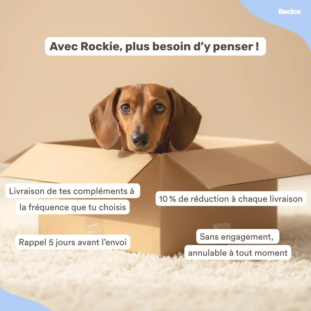 Fiche produit Rockie.