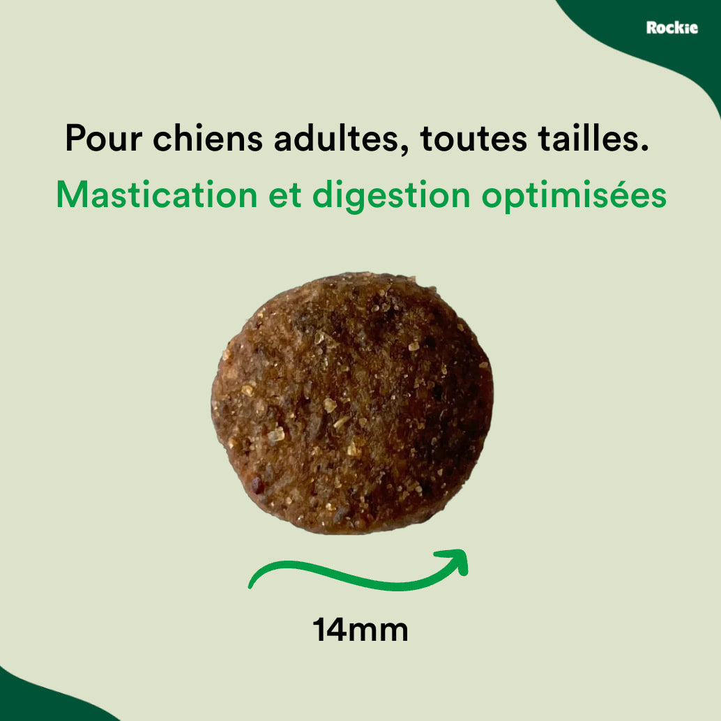 Croquettes hypoallergéniques