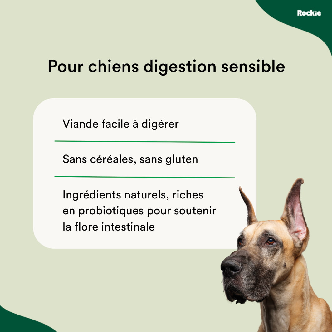 Chiens Digestion sensible
