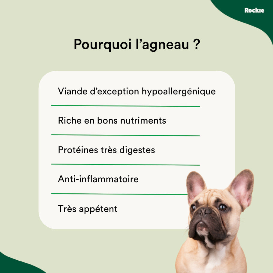 Croquettes hypoallergéniques