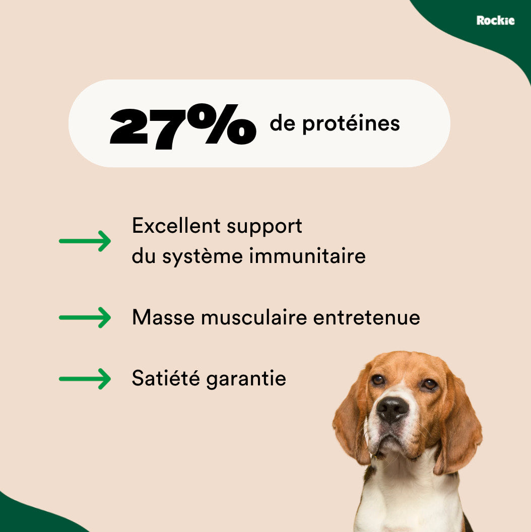Croquettes chien adulte "light"
