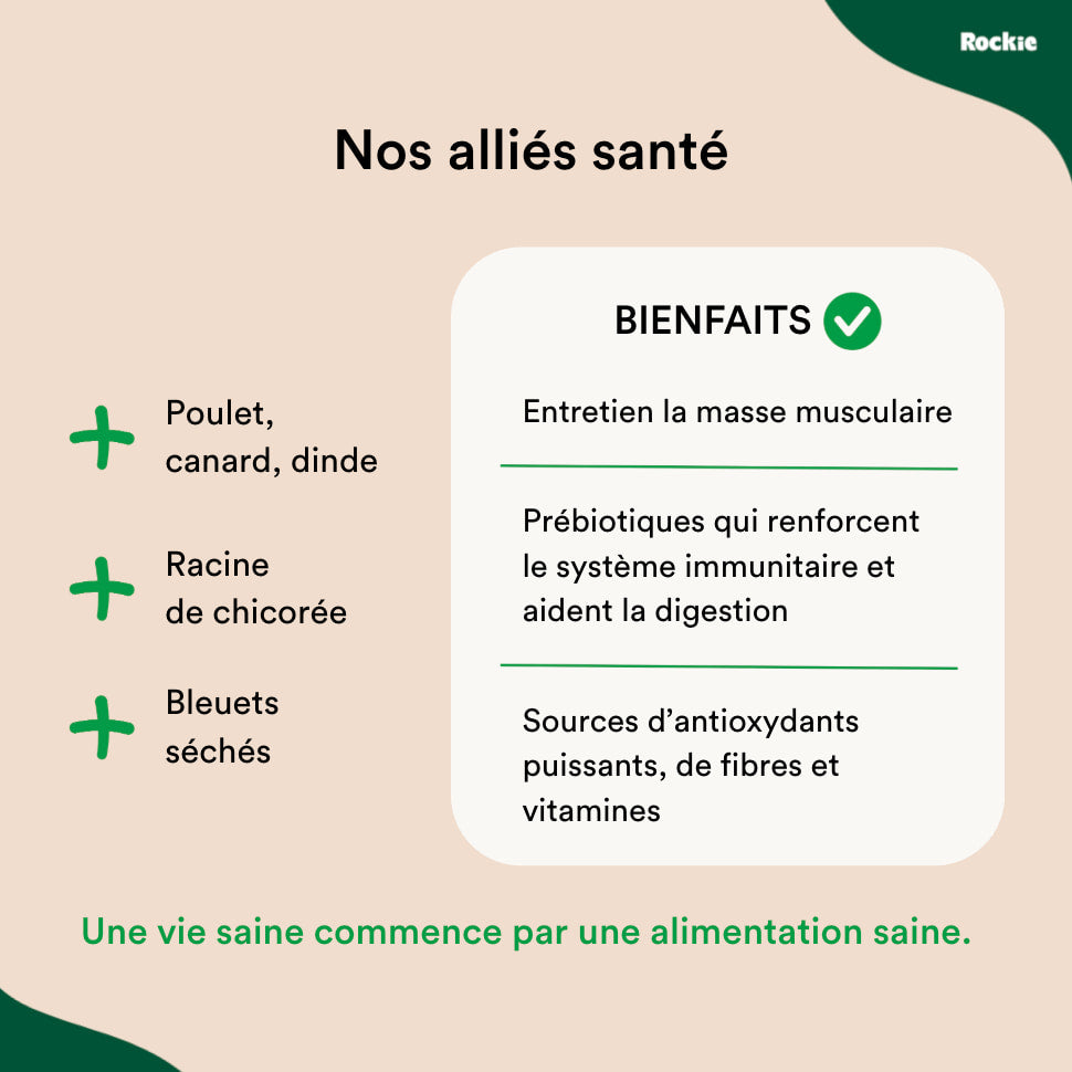 Croquettes chiens stérilisés