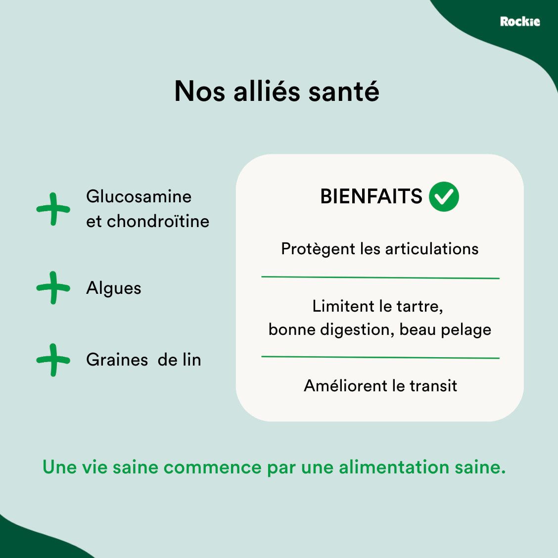 Croquettes sans céréales Saumon, Thon & Légumes