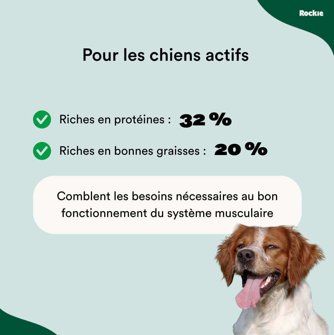 Croquettes sans céréales Saumon, Thon & Légumes