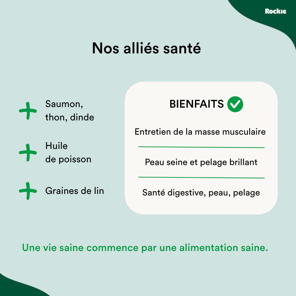 Croquettes riches en protéines
