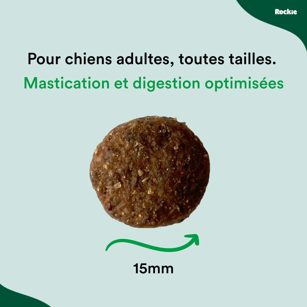 Croquettes riches en protéines