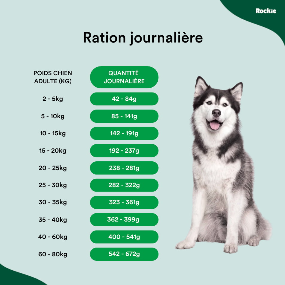 Croquettes riches en protéines
