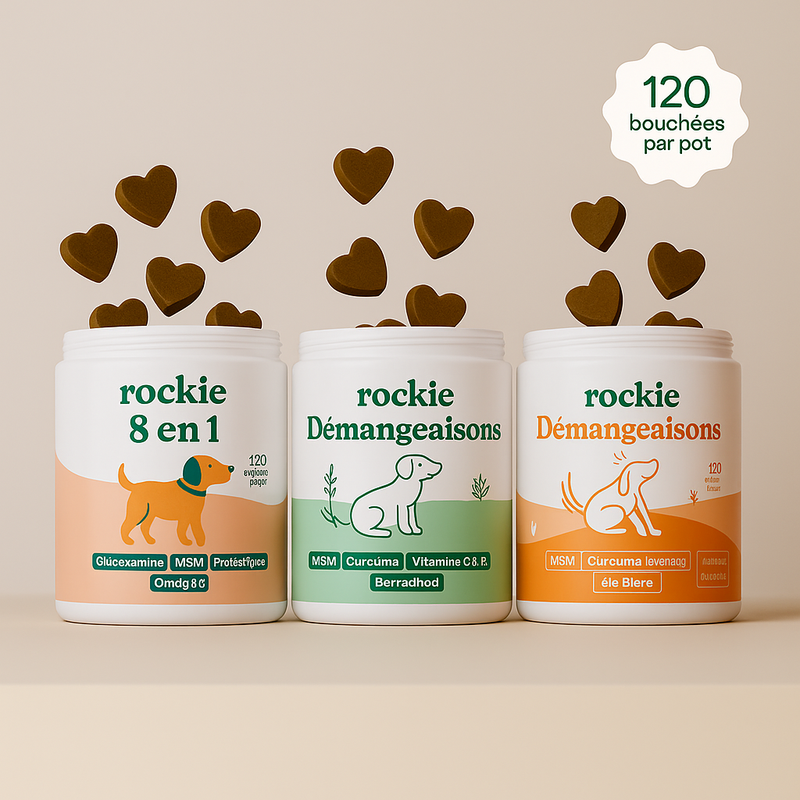 Pot Rockie sur fond clair