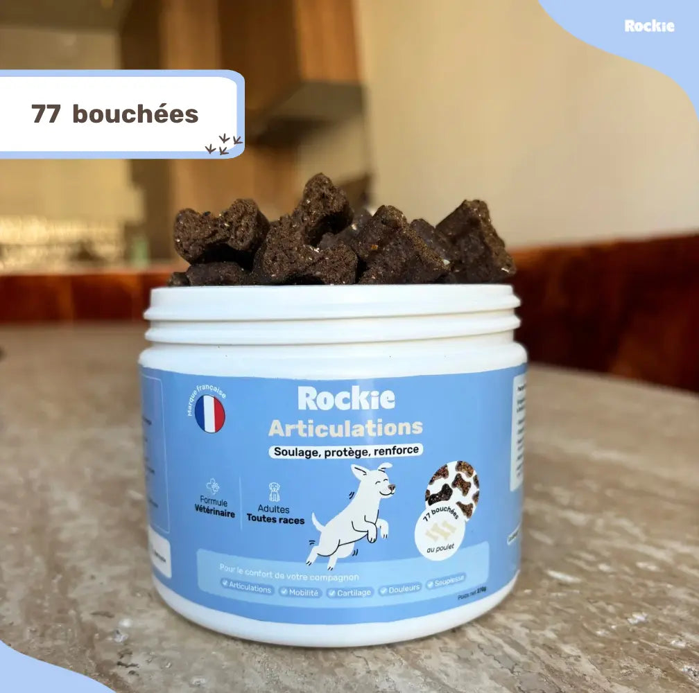 Fiche produit Rockie.