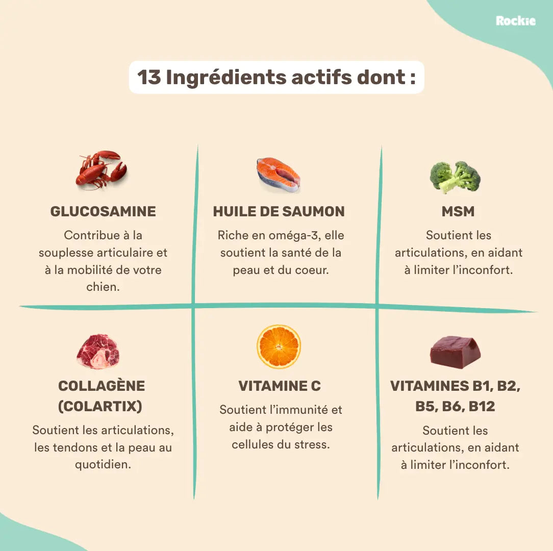 Fiche produit Rockie.