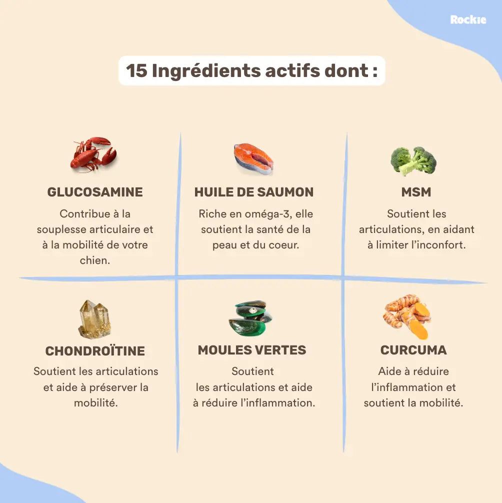 Fiche produit Rockie.