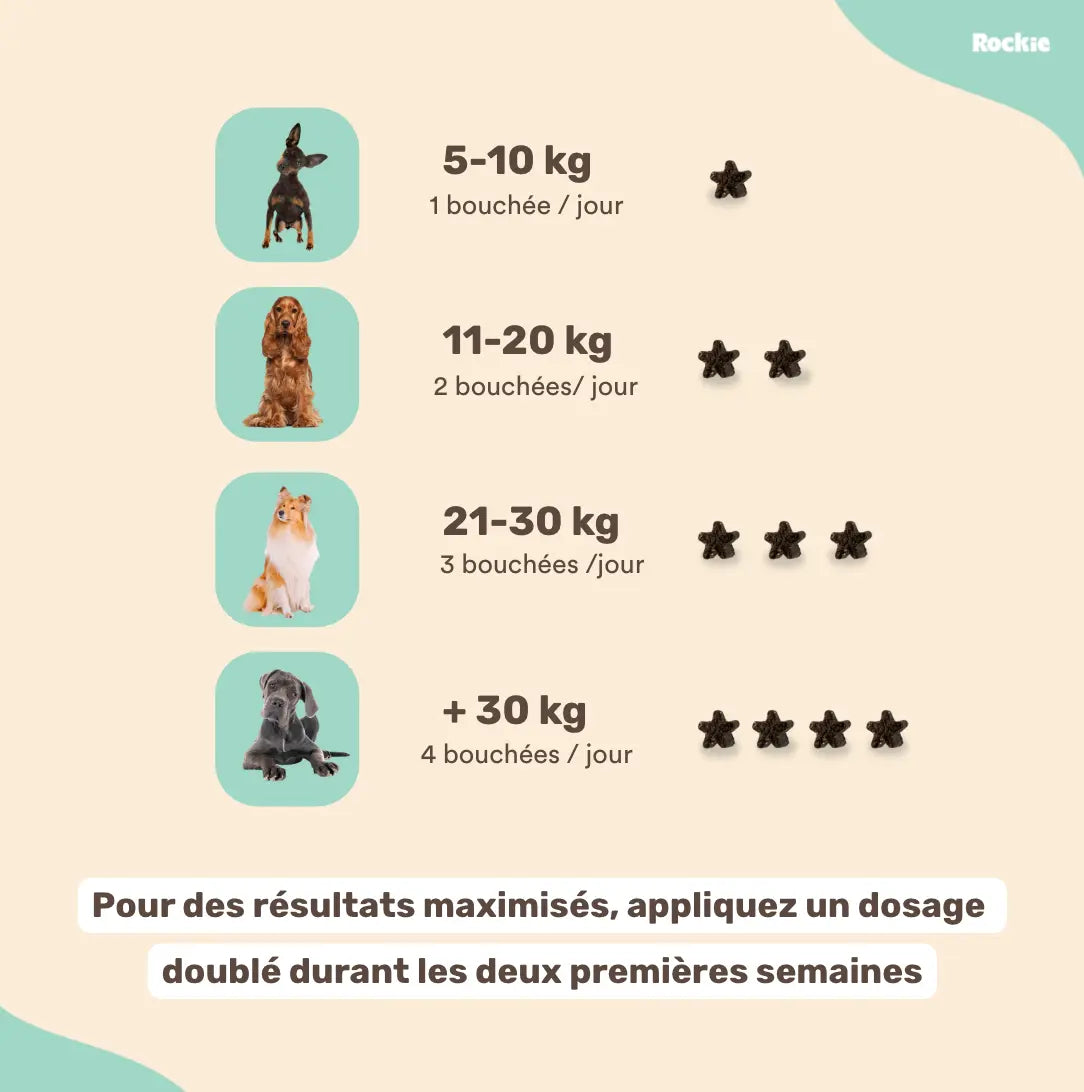 Fiche produit Rockie.