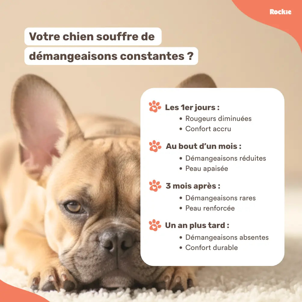 Fiche produit Rockie.