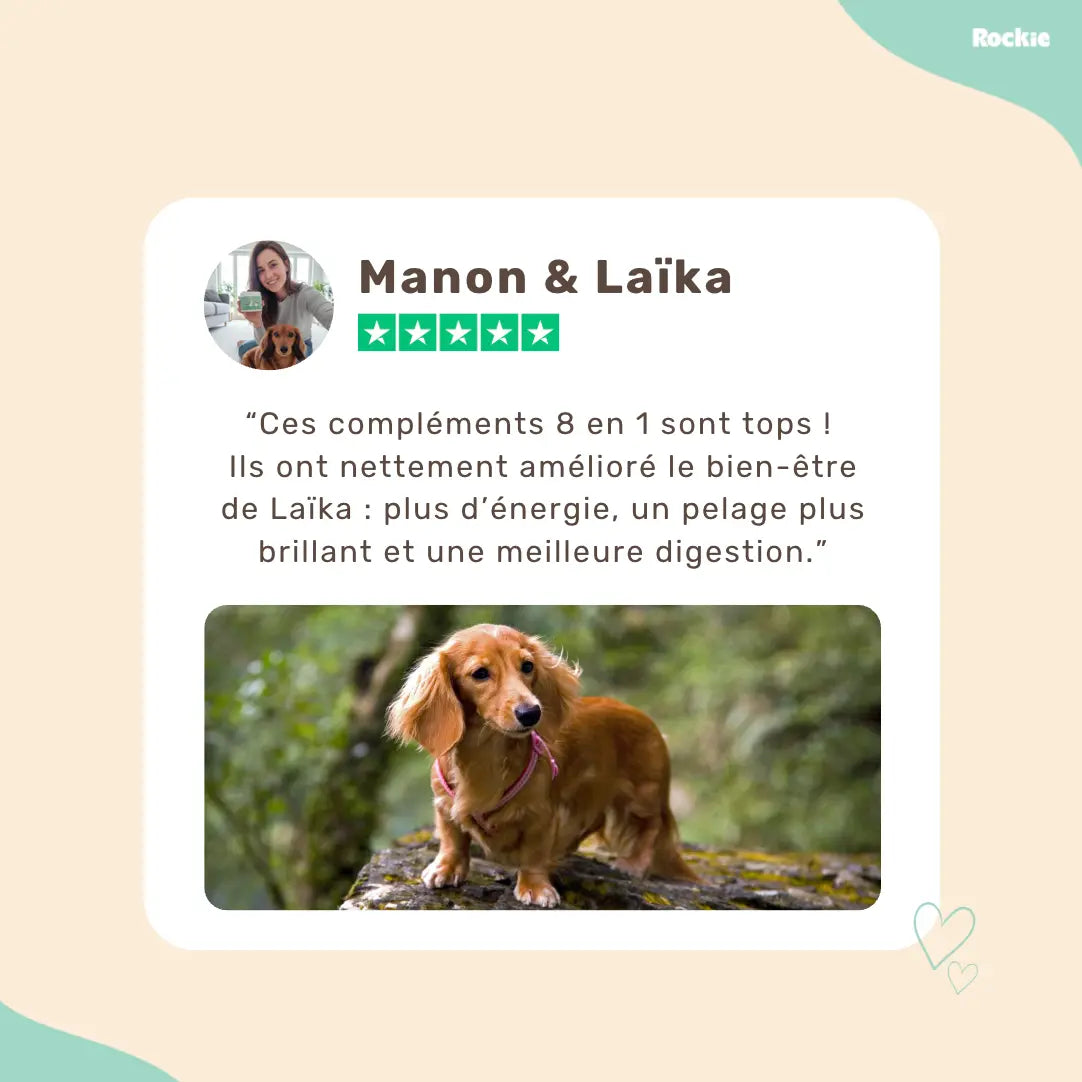 Fiche produit Rockie.