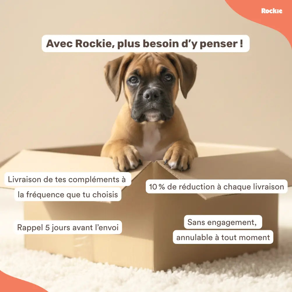 Fiche produit Rockie.