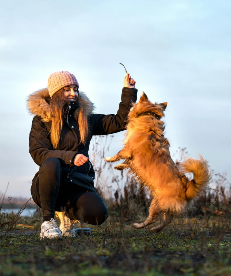 Chien heureux avec son humain