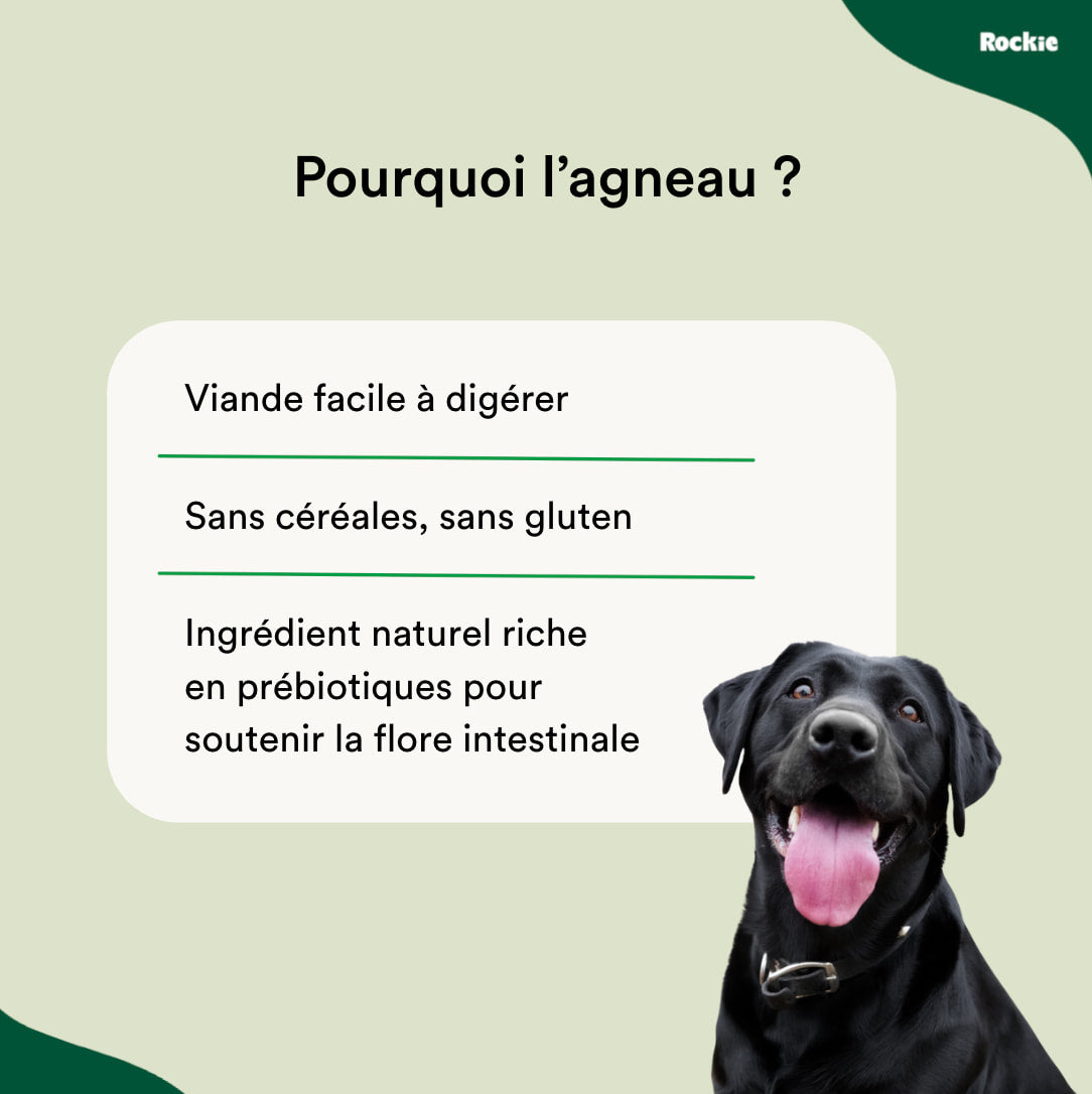 Croquettes sans céréales Agneau & Légumes