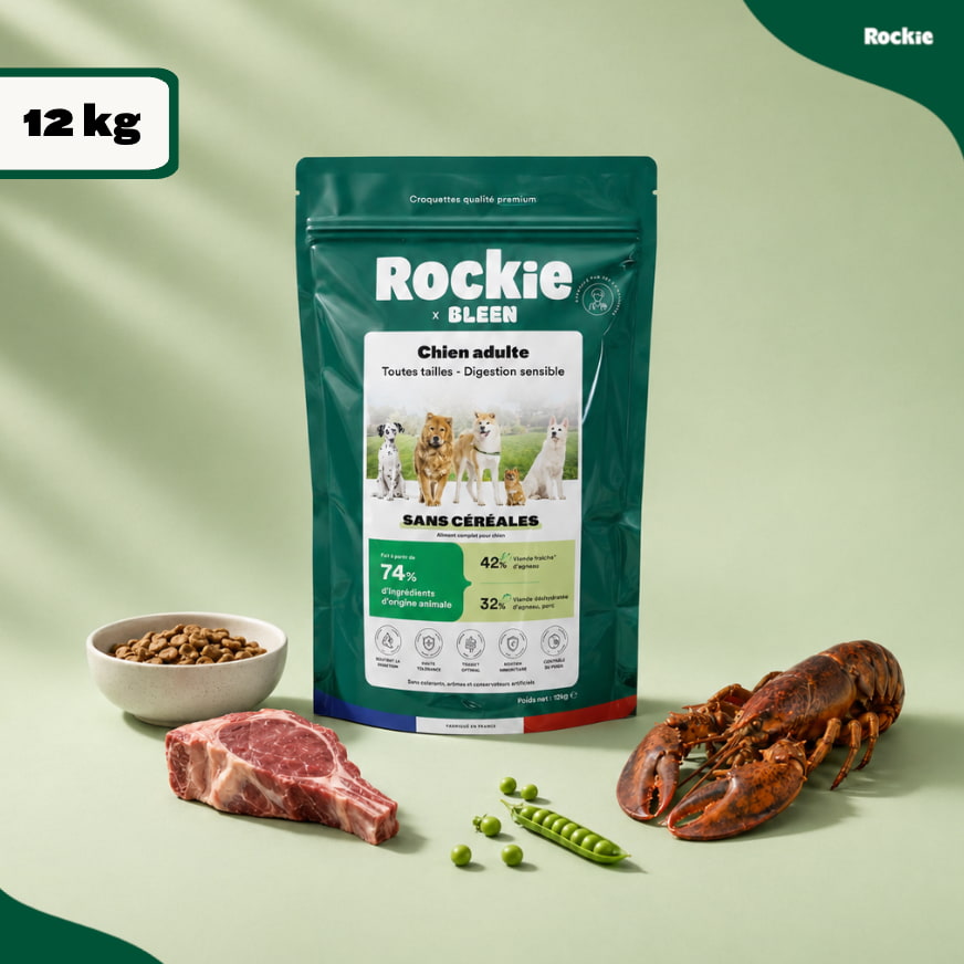 Chiens Digestion sensible