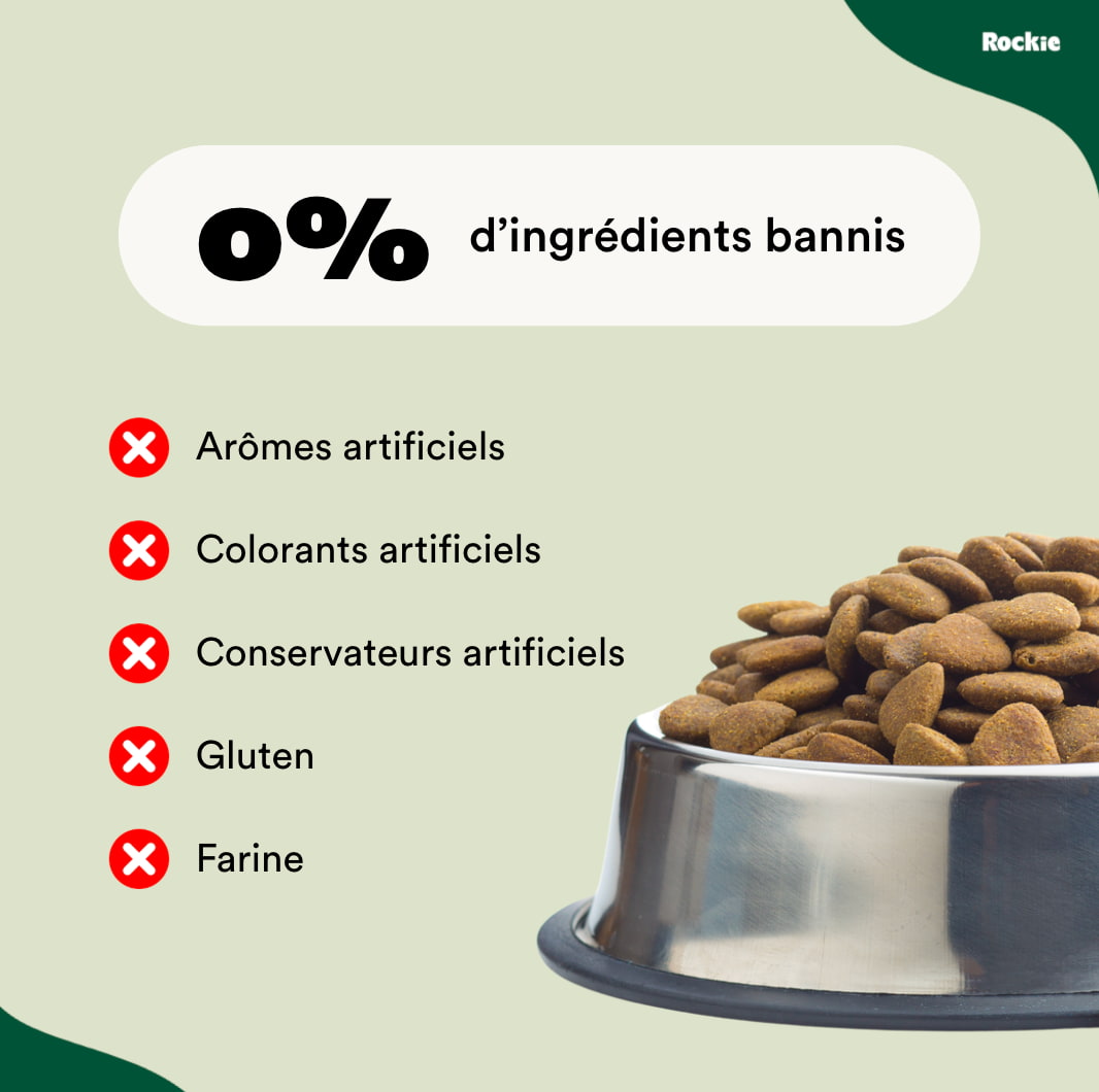 Chiens Digestion sensible