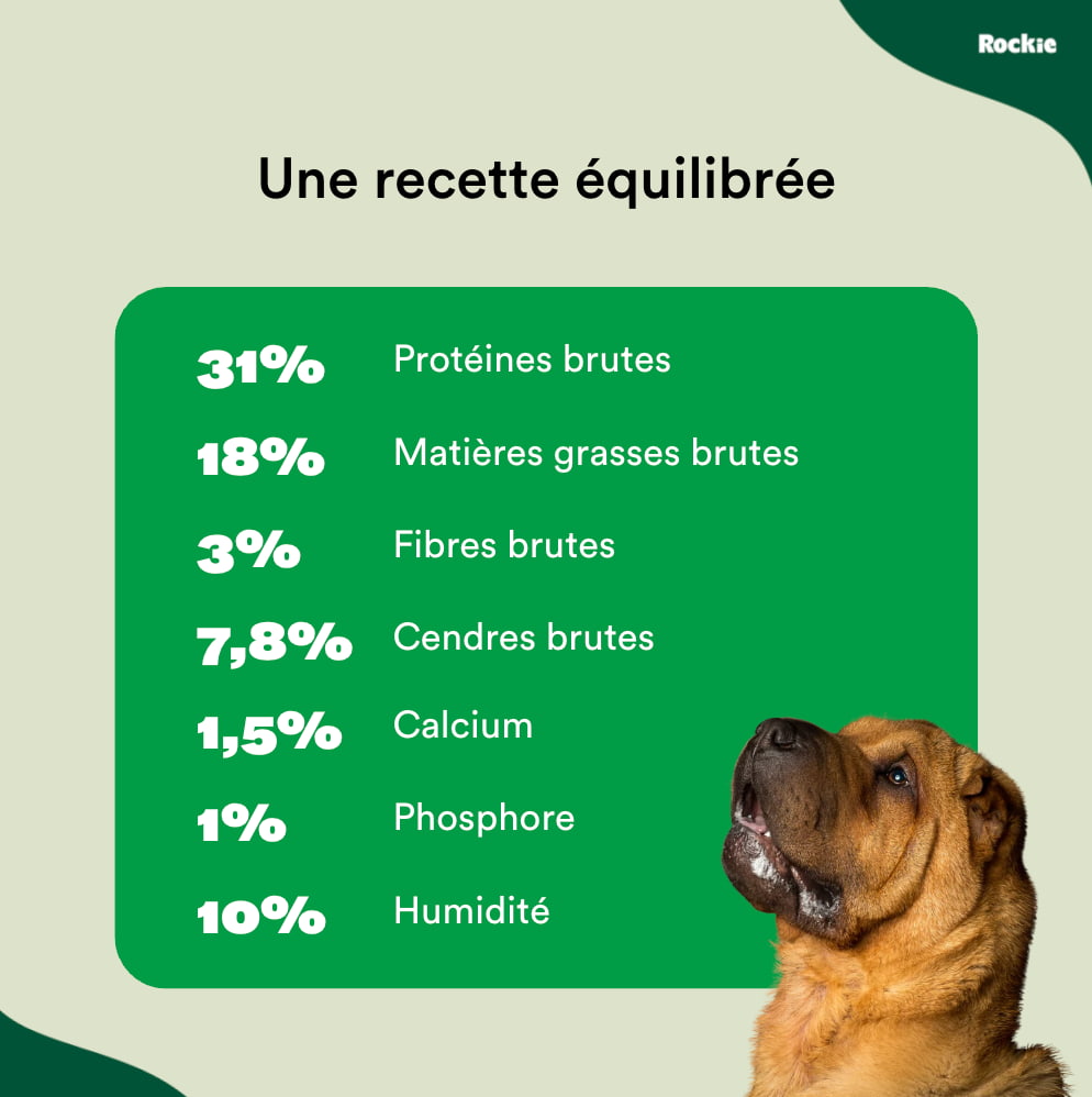 Chiens Digestion sensible