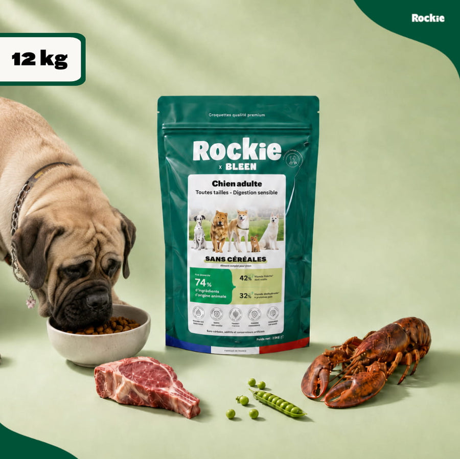 Chiens hypoallergéniques