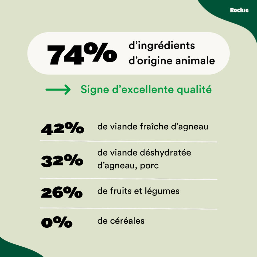 Chiens hypoallergéniques