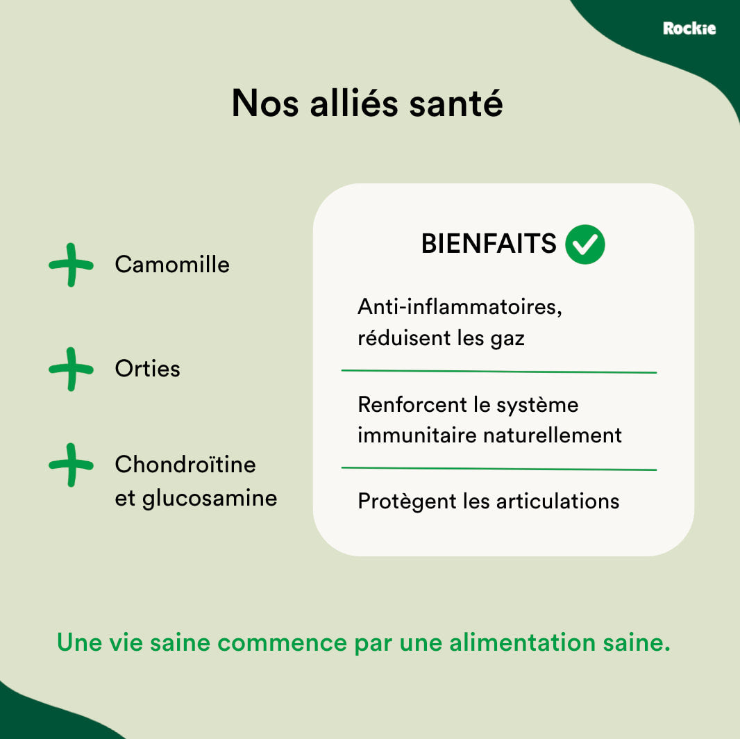 Croquettes hypoallergéniques