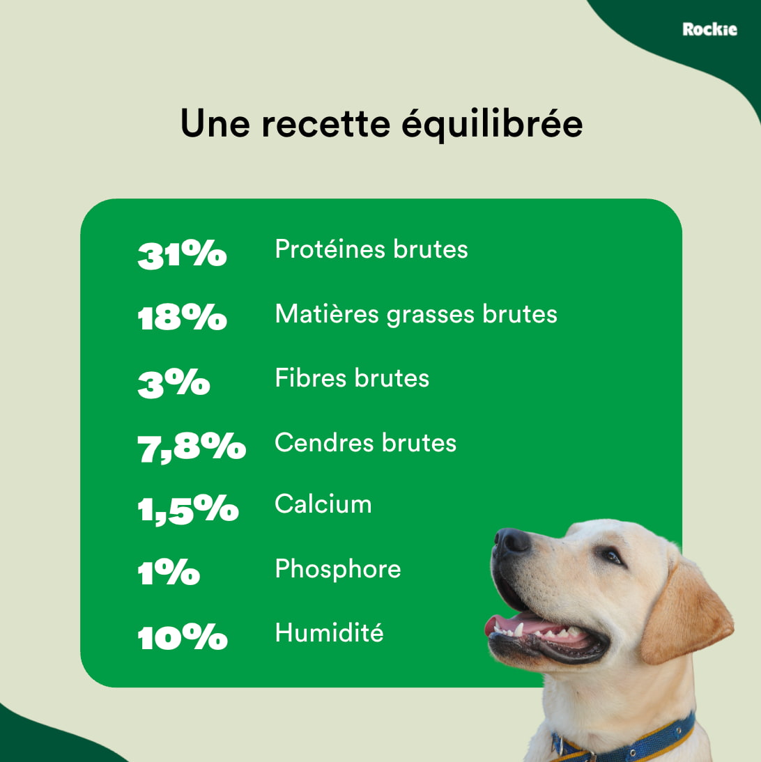 Croquettes hypoallergéniques