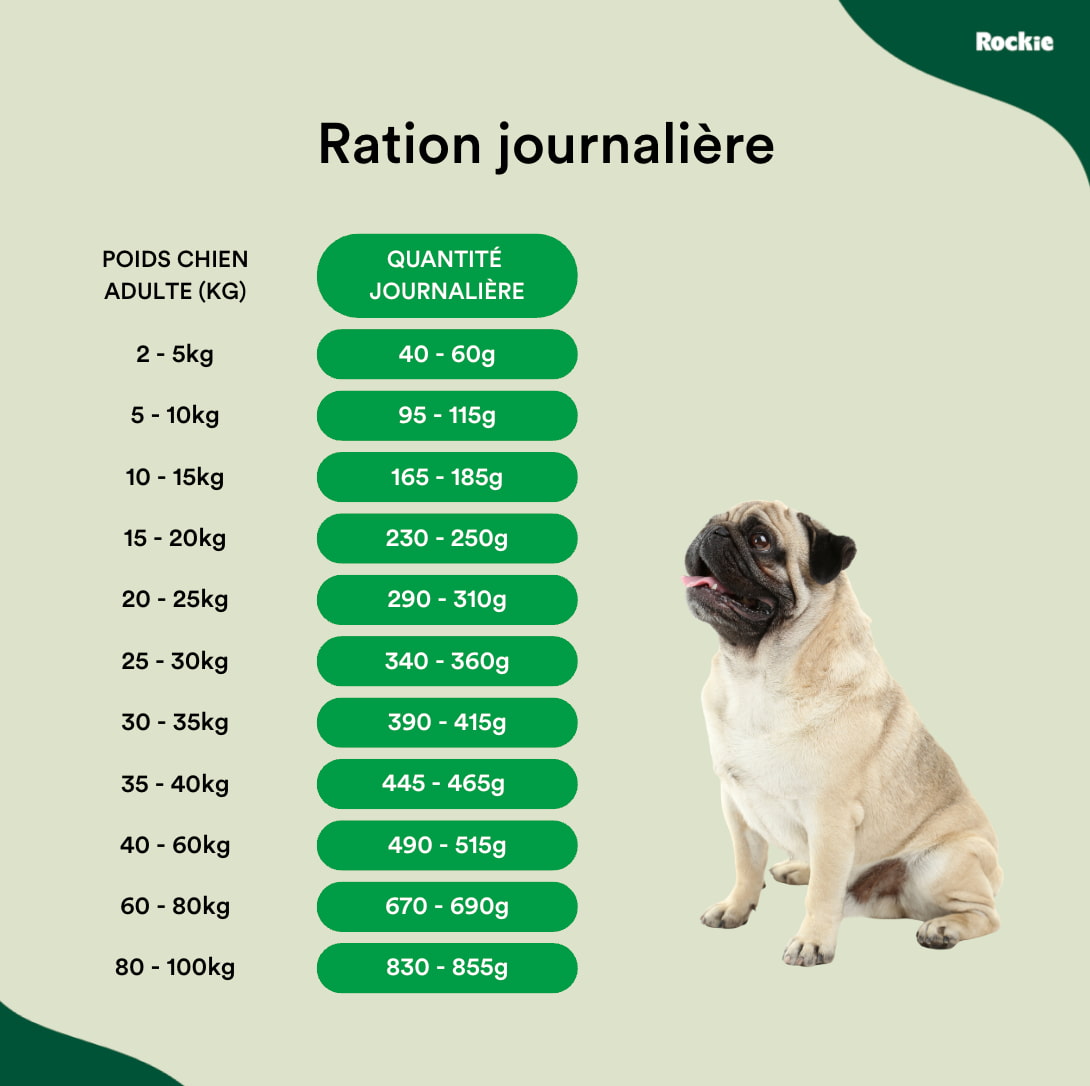 Croquettes hypoallergéniques