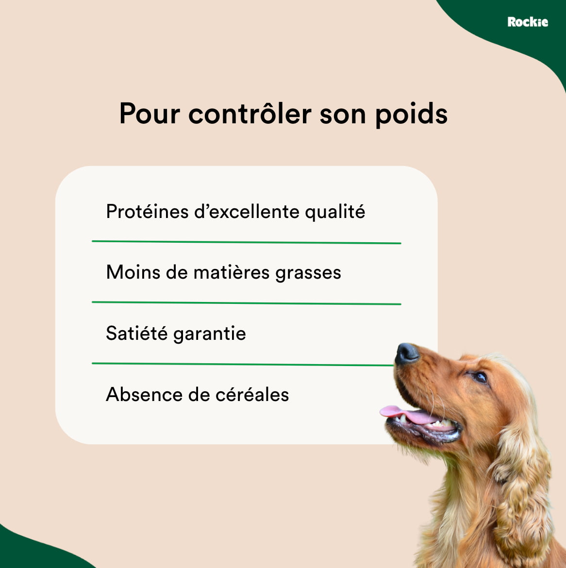 Croquettes chiens sans céréales Poulet, Dinde & Légumes