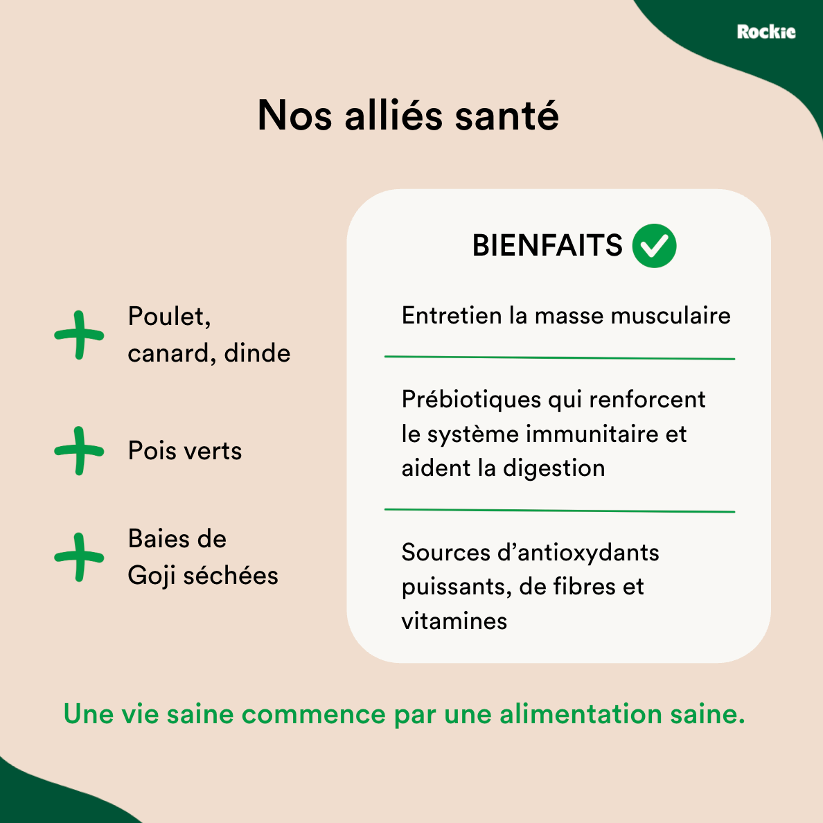 Croquettes chiens sans céréales Poulet, Dinde & Légumes