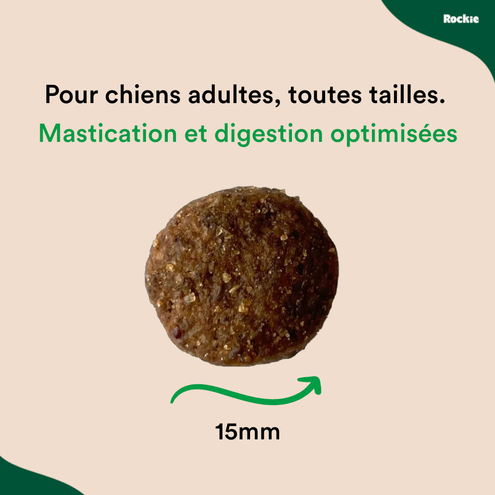 Croquettes chiens sans céréales Poulet, Dinde & Légumes