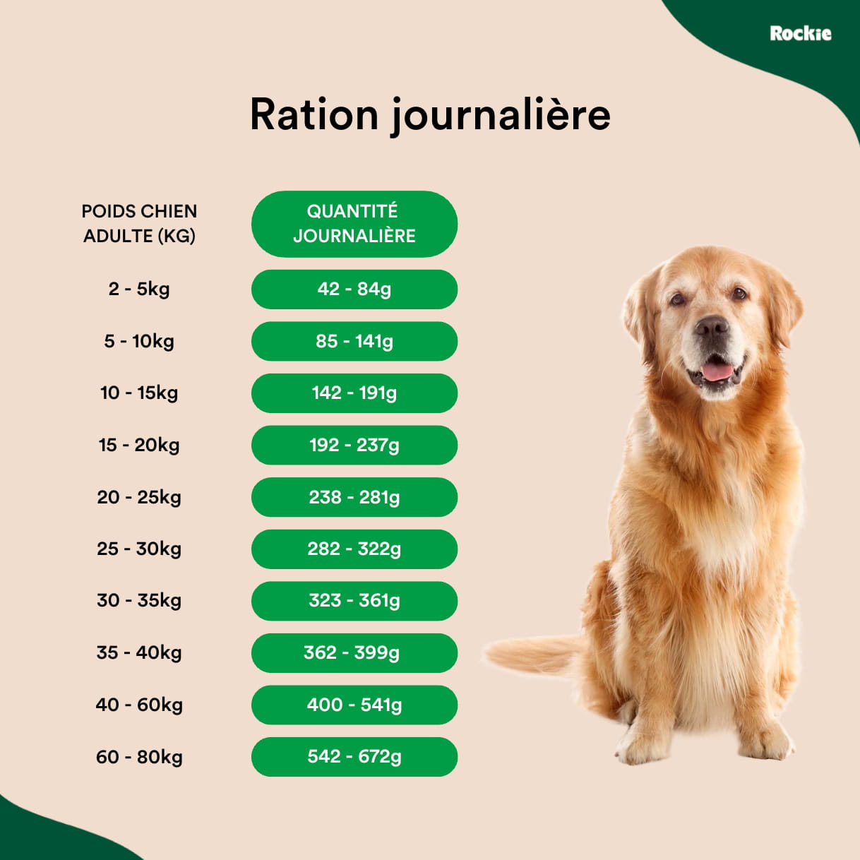 Croquettes chiens sans céréales Poulet, Dinde & Légumes