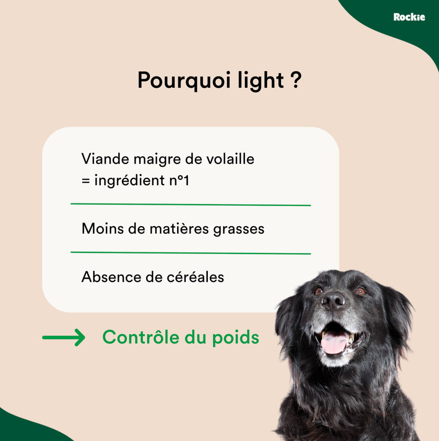 Chiens adulte "light"