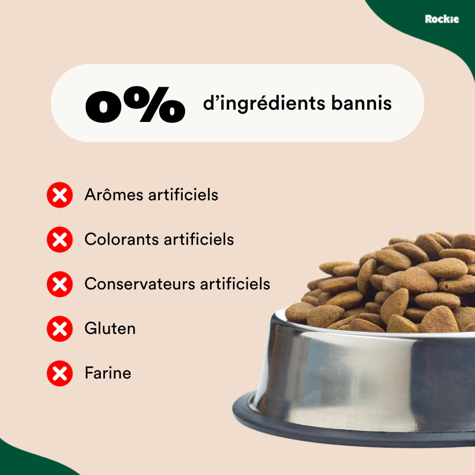 Croquettes chiens sans céréales Poulet, Dinde & Légumes