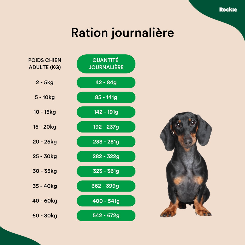 Croquettes chien adulte "light"