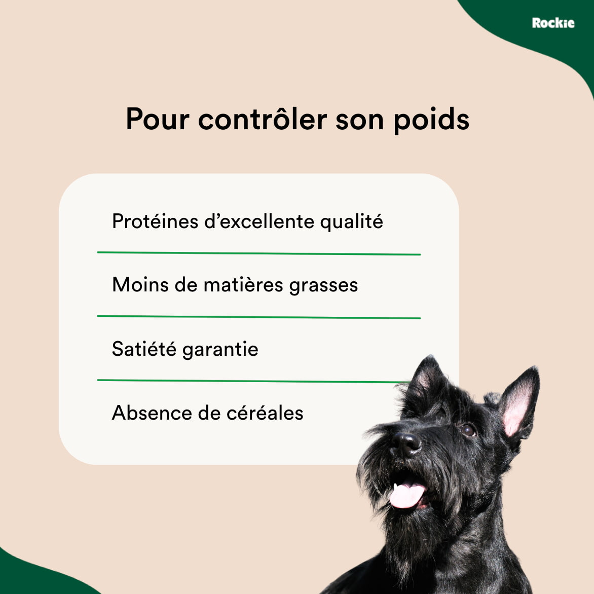 Croquettes chiens stérilisés