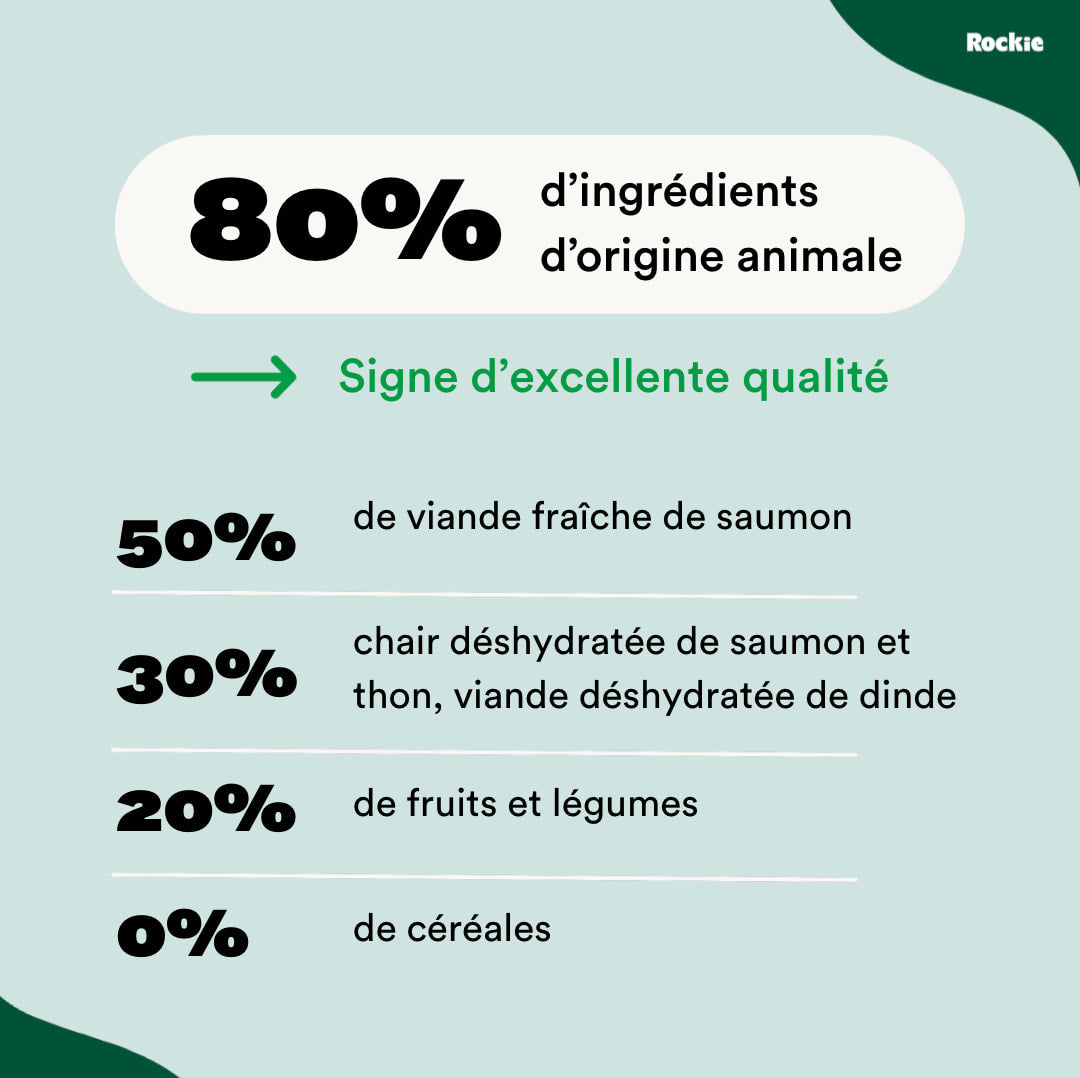 Croquettes chiens actifs