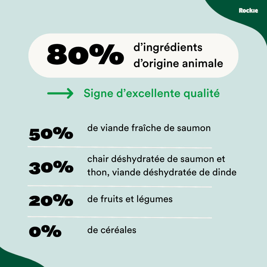 Chiens actifs toutes tailles