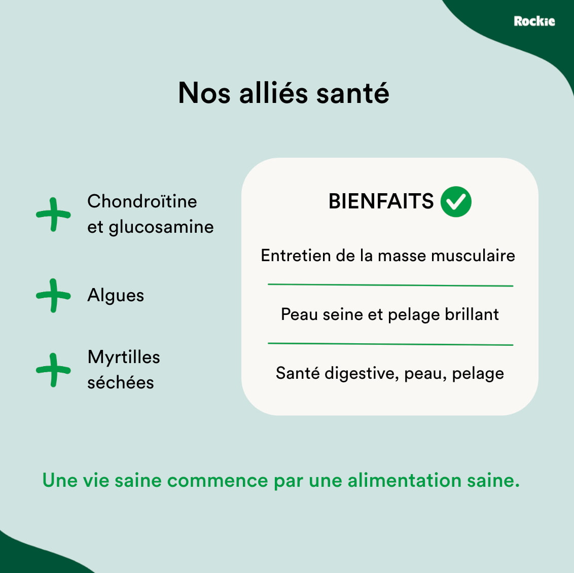 Croquettes chiens actifs