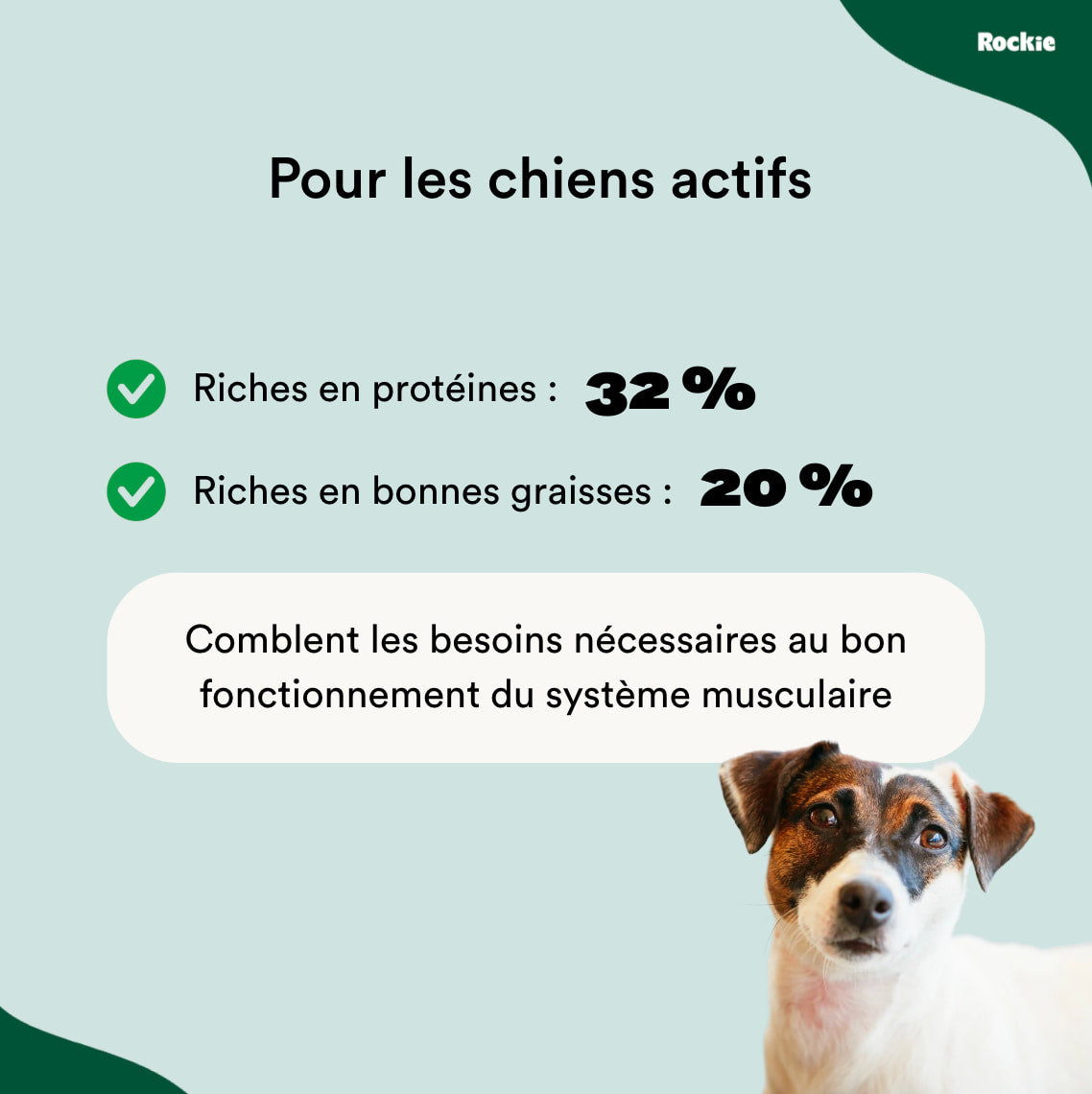 Croquettes chiens actifs