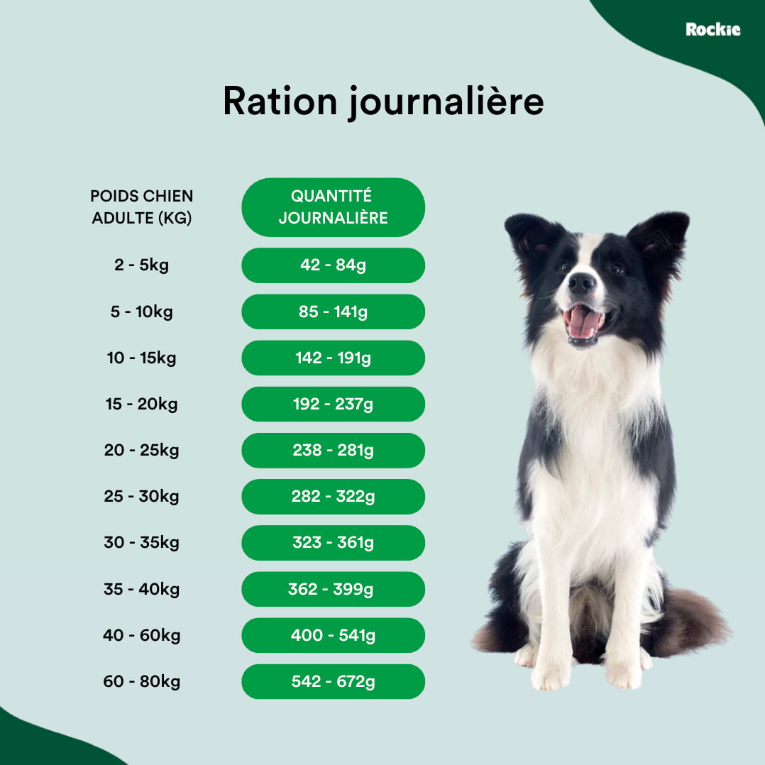 Croquettes chiens actifs
