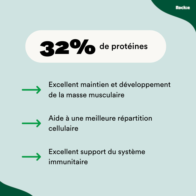 Croquettes riches en protéines