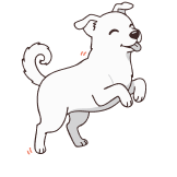 Bon fonctionnement du coeur et du cerveau